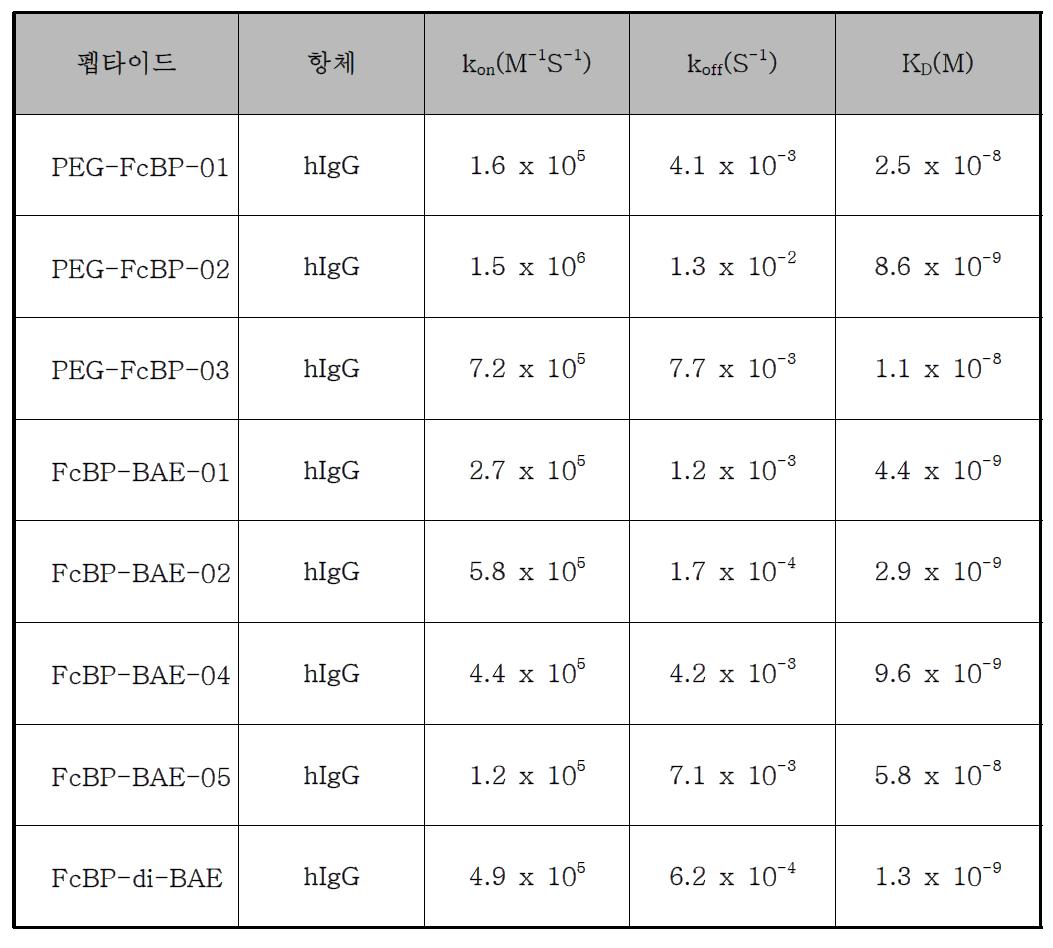 펩타이드 서열 최적화를 위한 펩타이드와 항체간의 결합력 측정