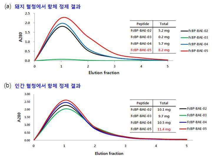 4종의 변형된 FcBP 펩타이드를 결합한 resin 을 이용하여, 동일 양의 혈청으로부터 항체 정제한 결과를 모니터링한 그래프