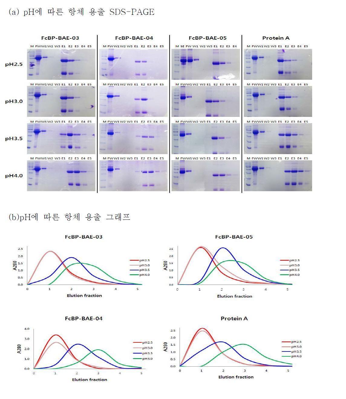 Protein A sepharose resin과 FcBP-BAE-03, FcBP-BAE-04, FcBP-BAE-05 sepharose resin의 pH에 따른 인간 항체 용출 비교