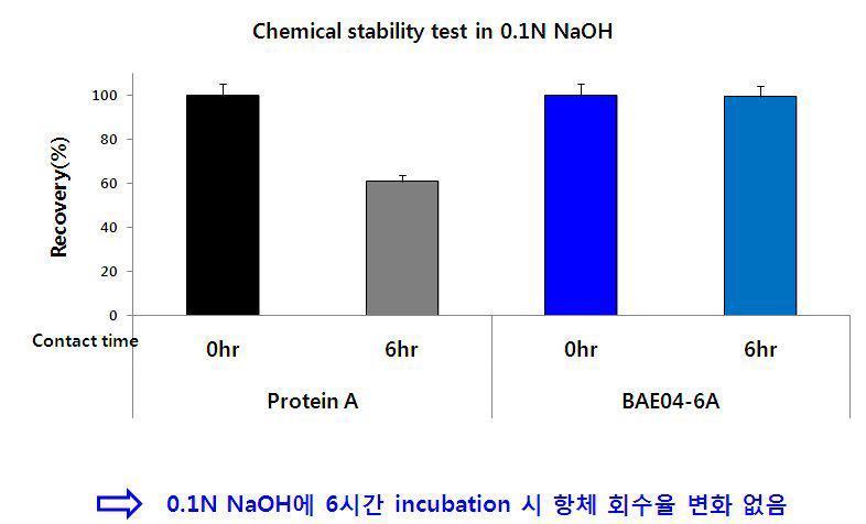 0.1N NaOH 용액에 6시간 반응 후 항체 회수율 측정결과