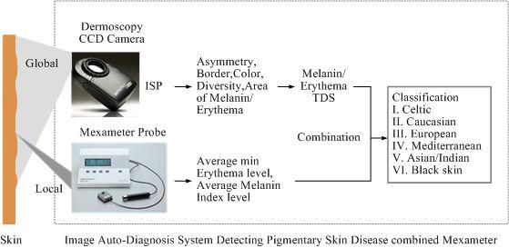 피부측정기기와 영상진단시스템과 연동하여 멜라닌/홍반 지수 표현