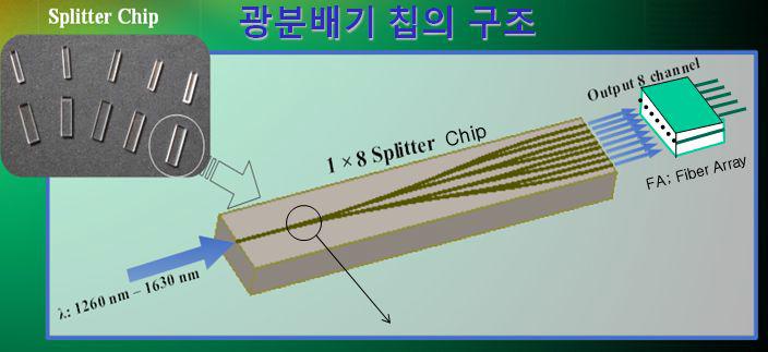 광분배기 칩 및 FA의 구조
