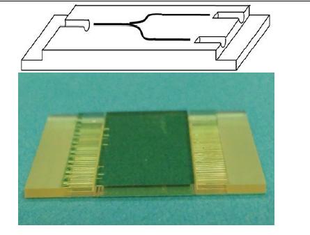 8채널 광섬유 직결형 칩