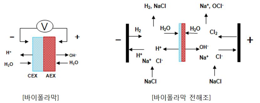 바이폴라막의 전기분해 반응 원리