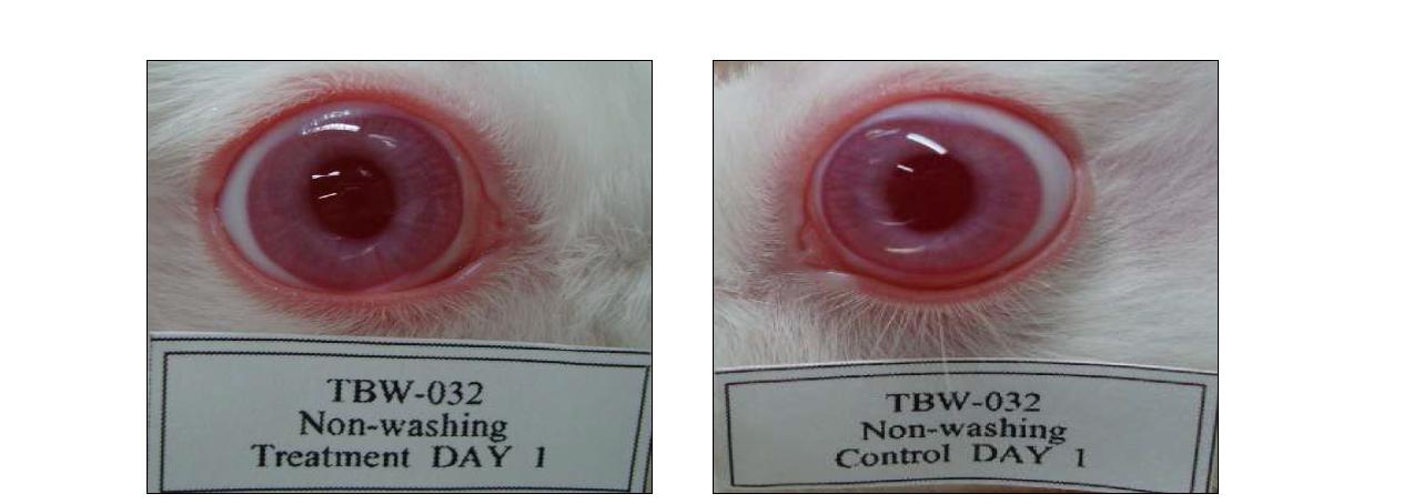 Eye photographs of non-washing group on day 1 after application of test substance