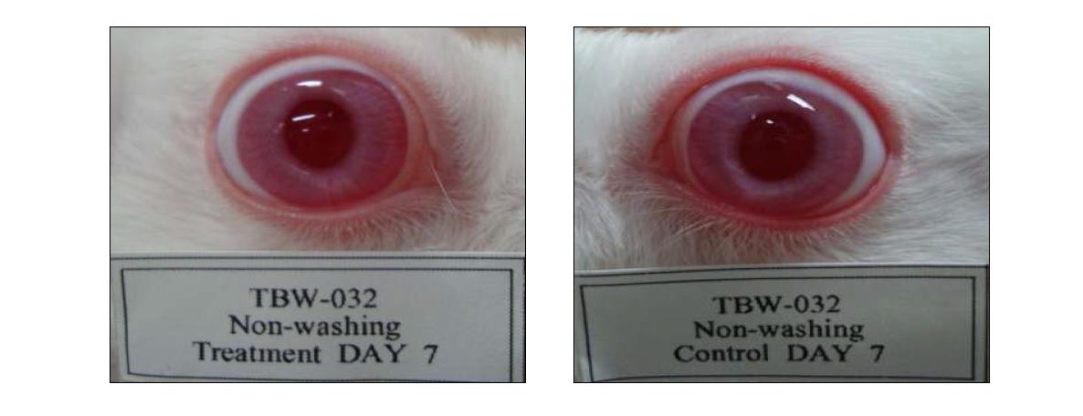 Eye photographs of non-washing group on day 7 after application of test substance