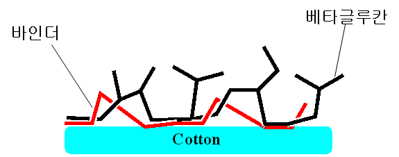 바인더 의한 베타글루칸의 섬유에 고착