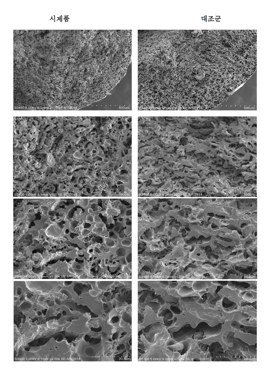 조리 후 시제품과 대조군의 단면 SEM 측정 결과(×100, ×500, ×1000, ×2000)