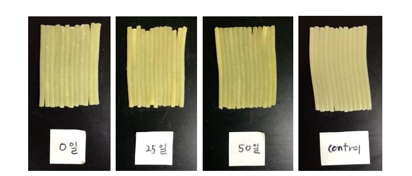 저장기간별 조리 후 최종 시제품의 외관