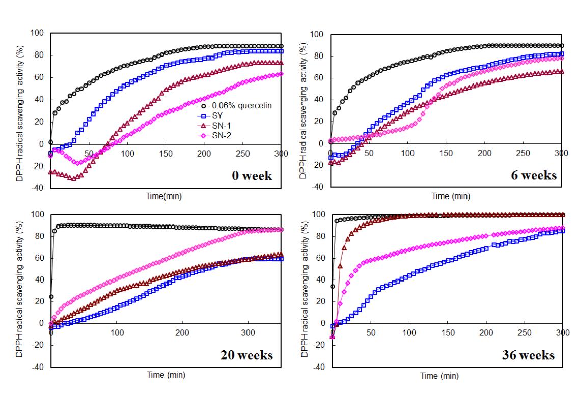 4°C 저장 중 SY, SN-1, SN-2 양파의 라디칼 소거능 변화