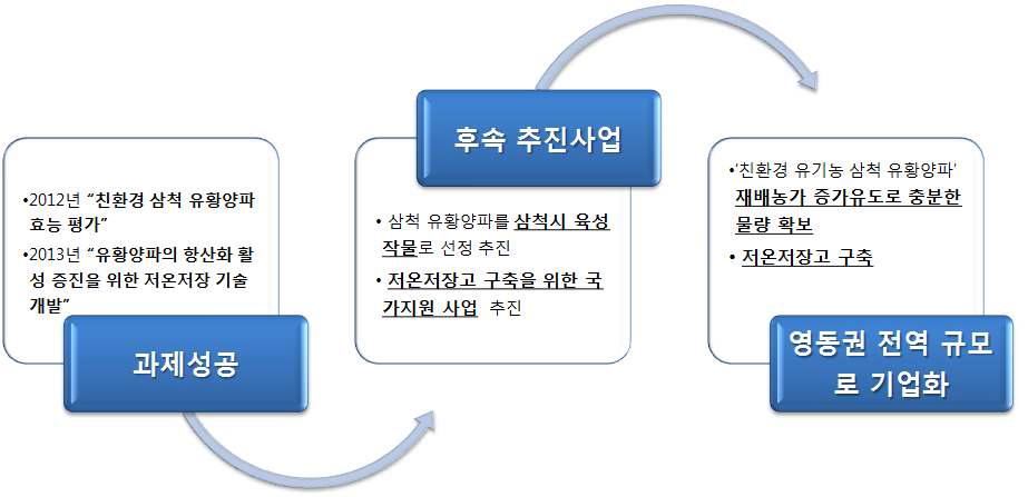 사업화를 위한 단계적 방안