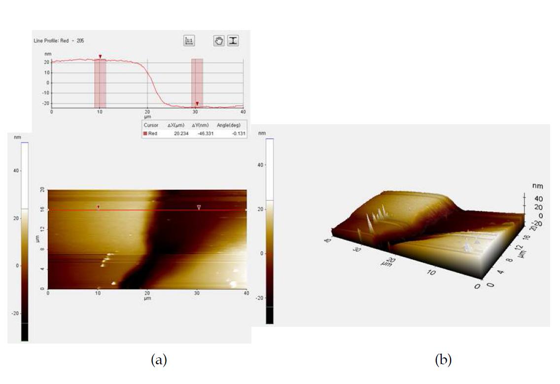 AFM에 의한 No. 6 ZrO2 시료의 단차 분석 결과(두께 측정 결과).