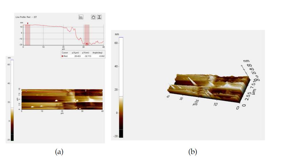 AFM에 의한 No. 8 CR10 시료의 단차 분석 결과(두께 측정 결과).