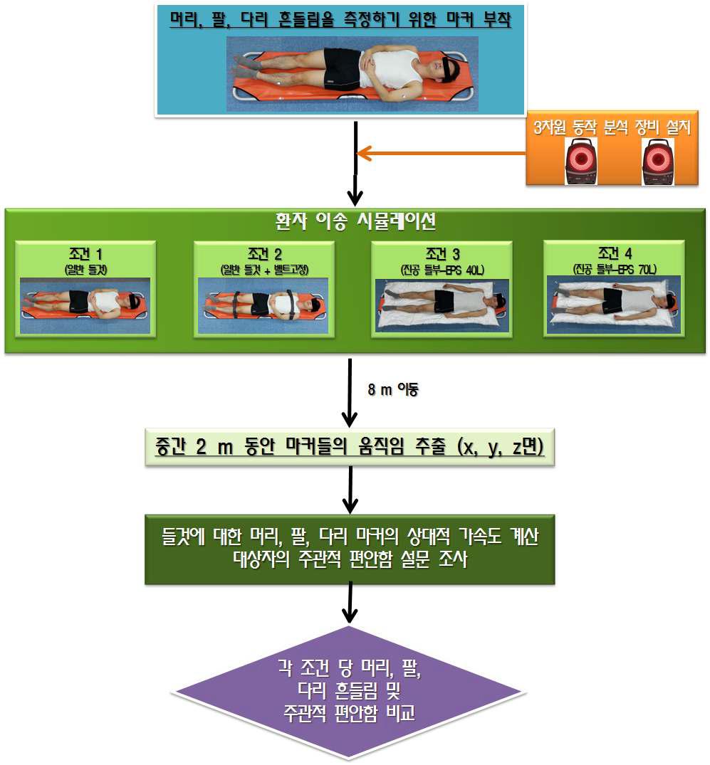 실험 모식도