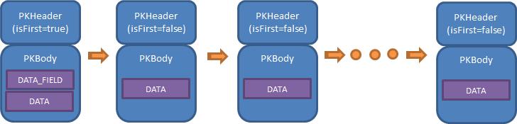 정상적인 DataSet 형태의 패킷 흐름