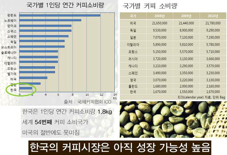 국내 커피 소비량 및 시장 현황