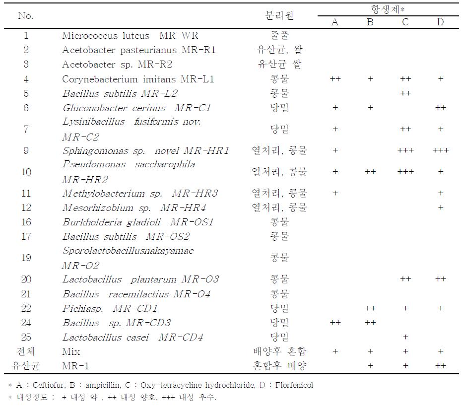 Antibiotics tolerance test of MR strain