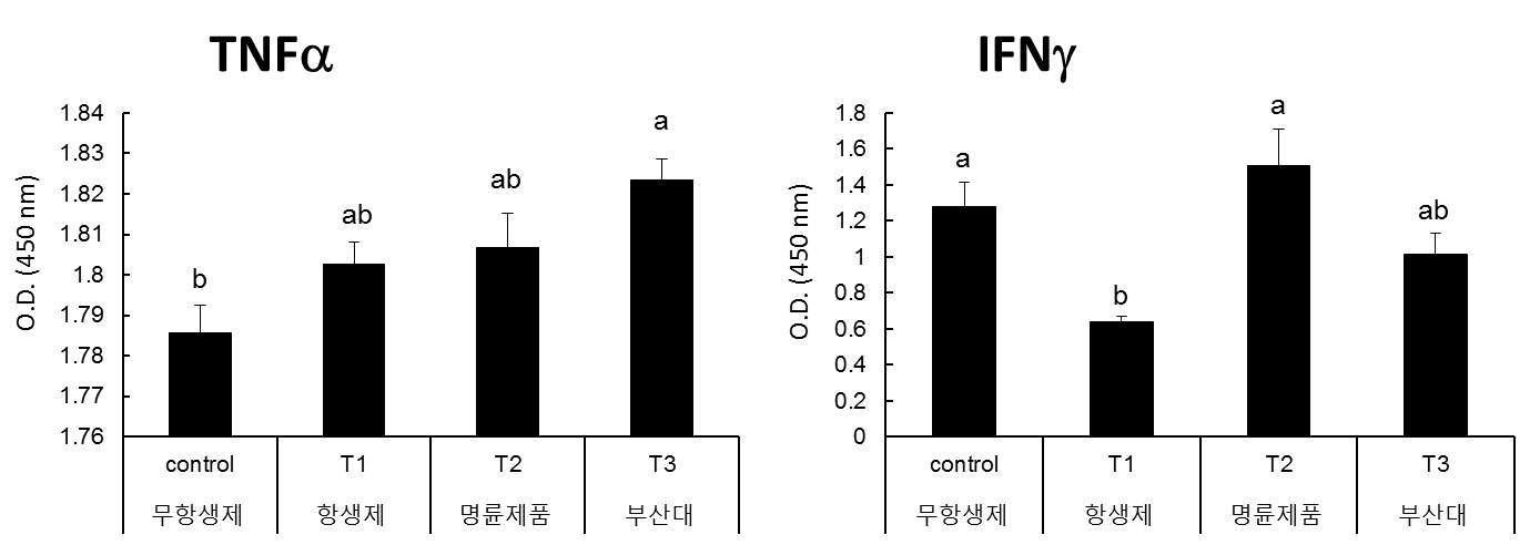 Changes in the production of TNFa and IFNg in serum of porcine given diet containing MR probiotics.