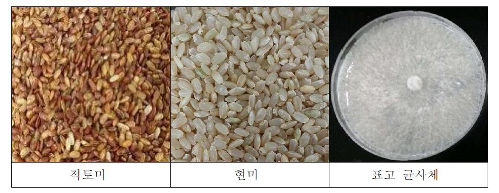 표고 배양미 제조용 소재