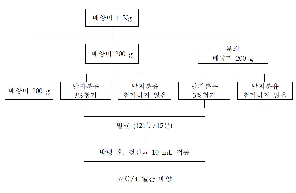 배양미와 탈지분유 첨가에 따른 젖산발효 방법.