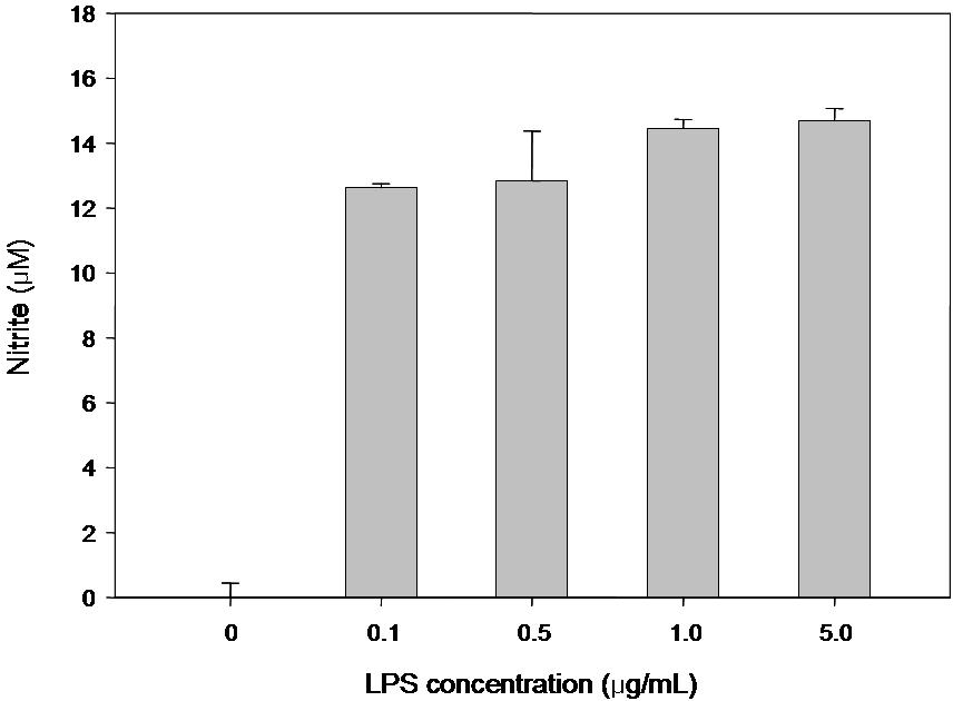 LPS로 활성화된 Raw264.7 cell에 nitric oxide(NO)의 생성