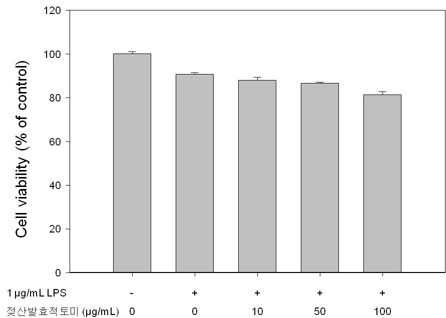 Raw264.7 cell에 젖산발효적토미에 대한 세포독성