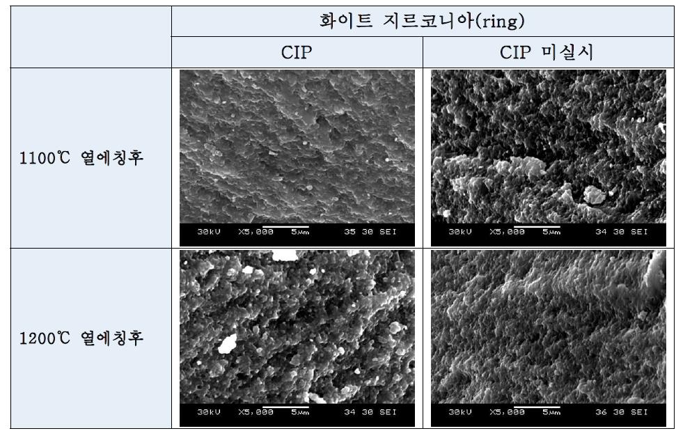 화이트 지르코니아 링의 미세구조