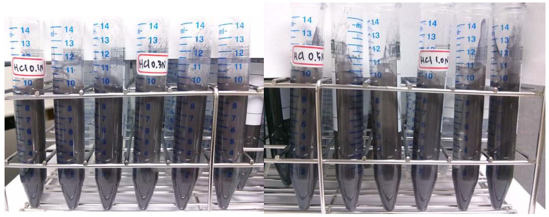다양한 농도의 염산과 폐슬러지 반응 및 원심분리 후의 형상