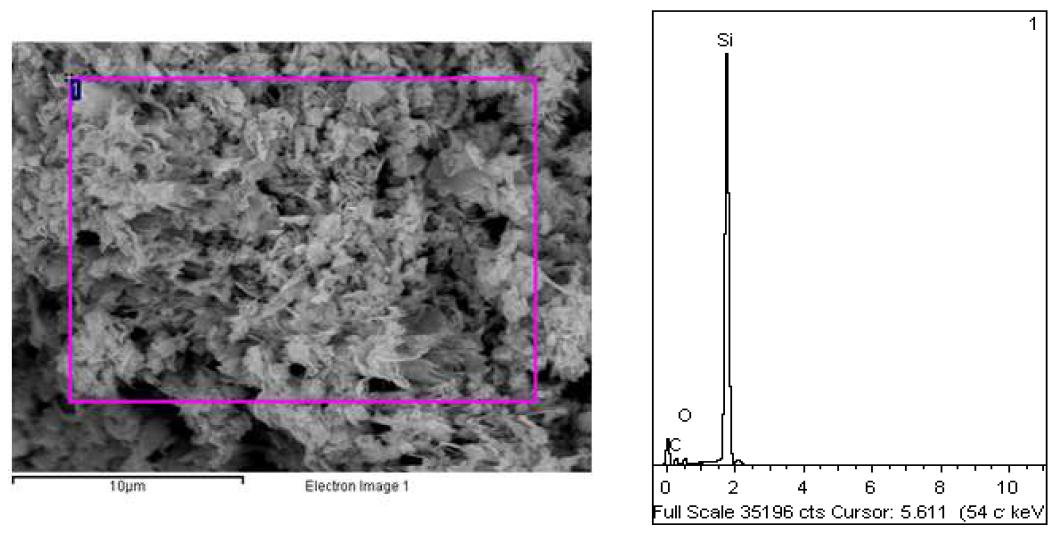 최적화 실험 후 획득된 고형물의 SEM(좌) 및 EDS(우) 기기분석 결과