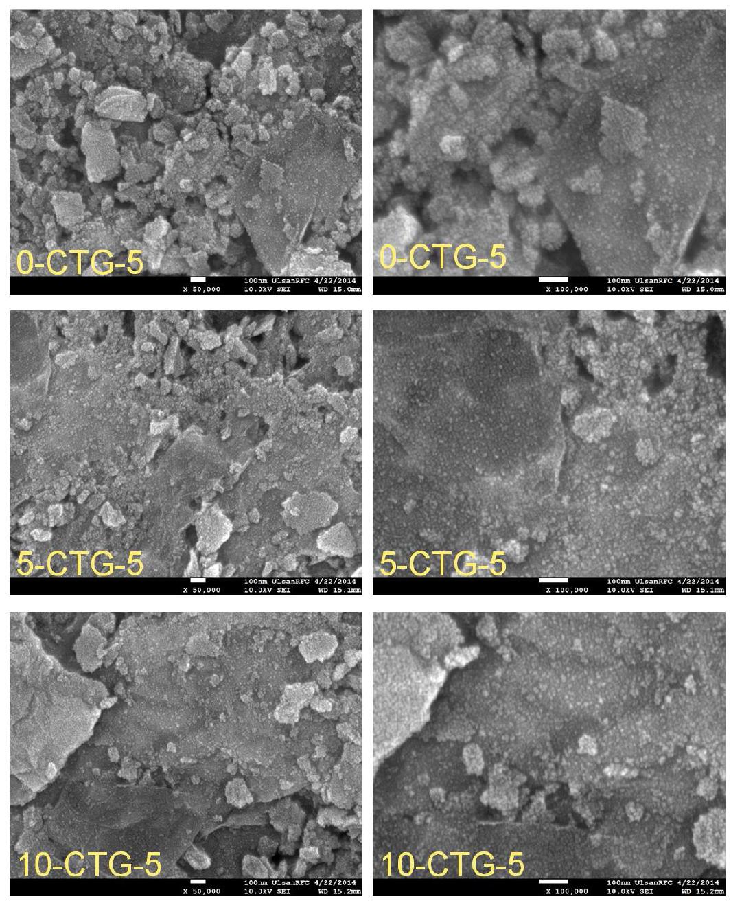 FE-SEM images of iCTG-5 filmed materials