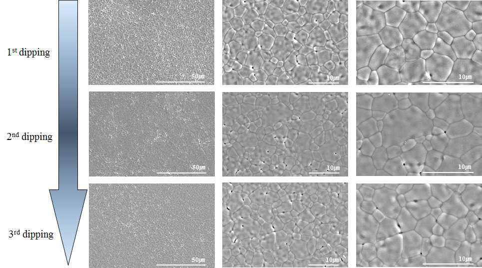 Dipping 방법으로 제작한 YSZ 전해질 지지체의 표면 미세구조