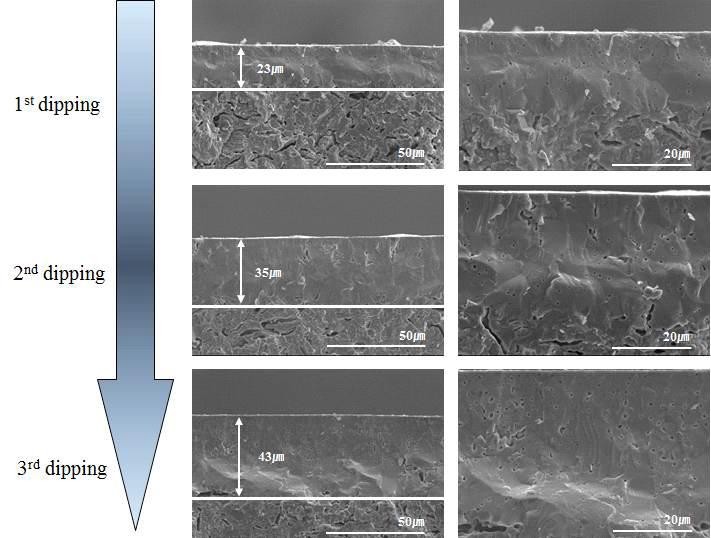 Dipping 방법으로 제작한 YSZ 전해질 지지체의 단면 미세구조