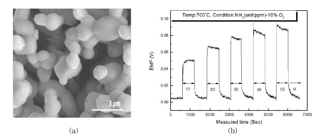 1000℃에서 열처리한 ZnO전극을 이용한 NH3 센서의 (a) 감지전극 SEM사진, (b) 감지특성