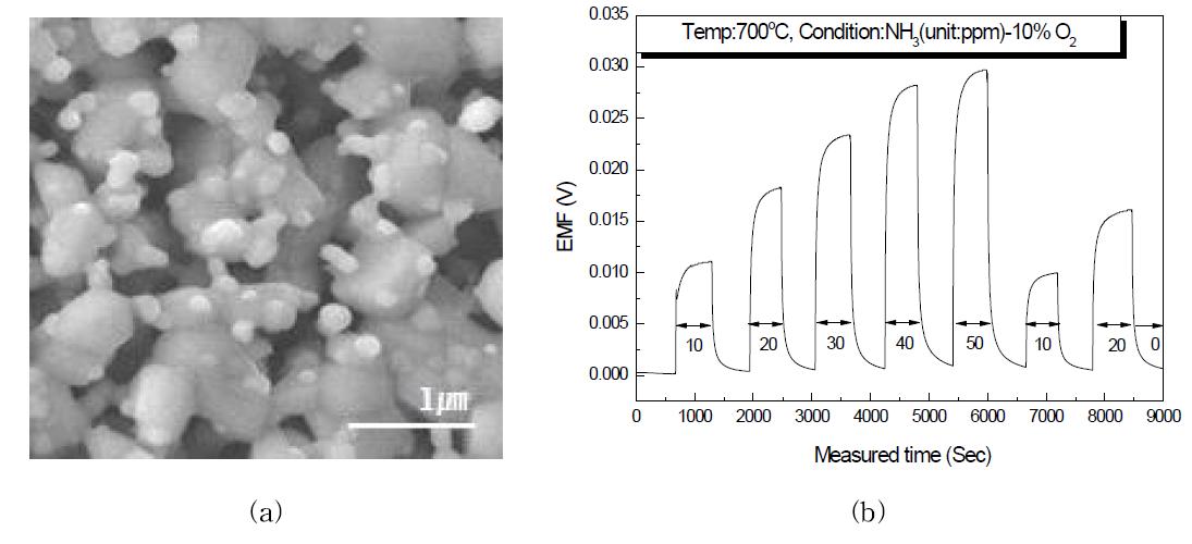 1200℃에서 열처리한 ZnO전극을 이용한 NH3 센서의 (a) 감지전극 SEM사진, (b) 감지특성