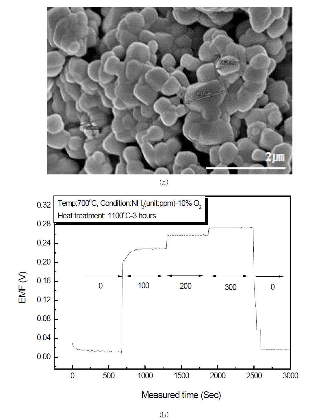 1100℃에서 열처리한 In2O3의전극을 이용한 NH3 센서의 (a) 감지전극 SEM사진, (b) 감지특성