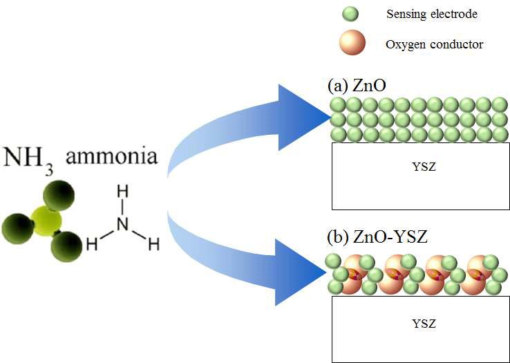 ZnO의 접합성과 NH3반응점 향상을 위한 ZnO-YSZ 혼합물 (composite electrode) 개념도 (a) ZnO, (b) YSZ-ZnO