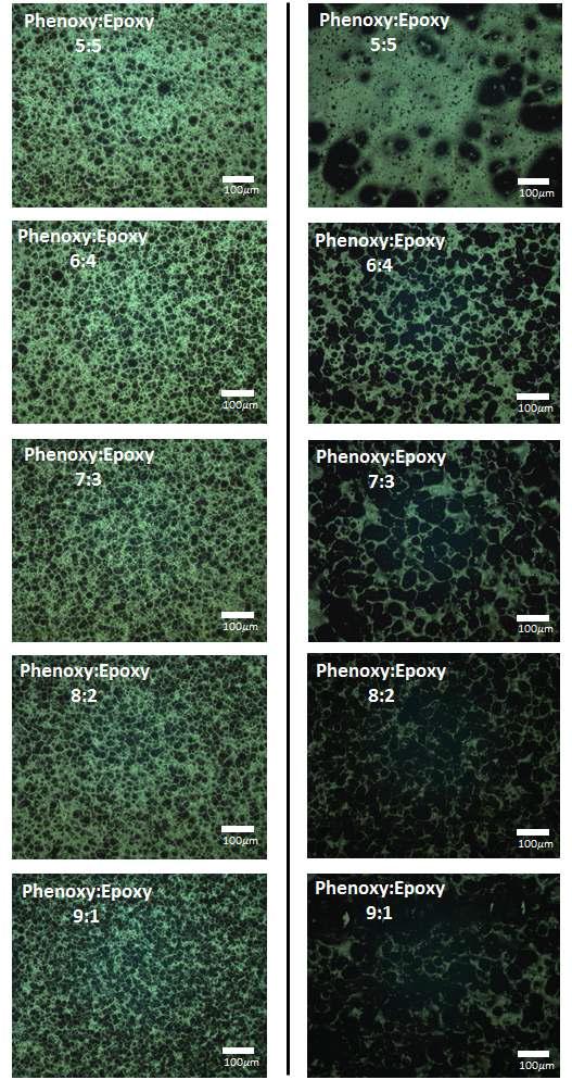 Phenoxy와 에폭시수지를 첨가한 사이즈코팅용 수지의 광학현미경 사진(왼쪽: 10 CaCO3, 오른쪽: 30 CaCO3)