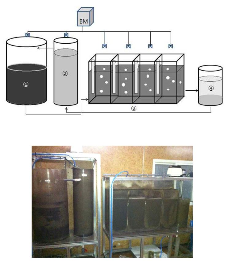 BM 제제를 이용한 하수슬러지 저감시험을 위한 pilot scale 처리 system의 모식도(상)와 실제의 모습(하)