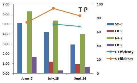 A 하수처리장의 BM-S-1 처리 전후의 수질 T-P변화
