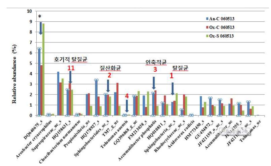 처리전 시료의 우점종 분포 및 잠재적 기능