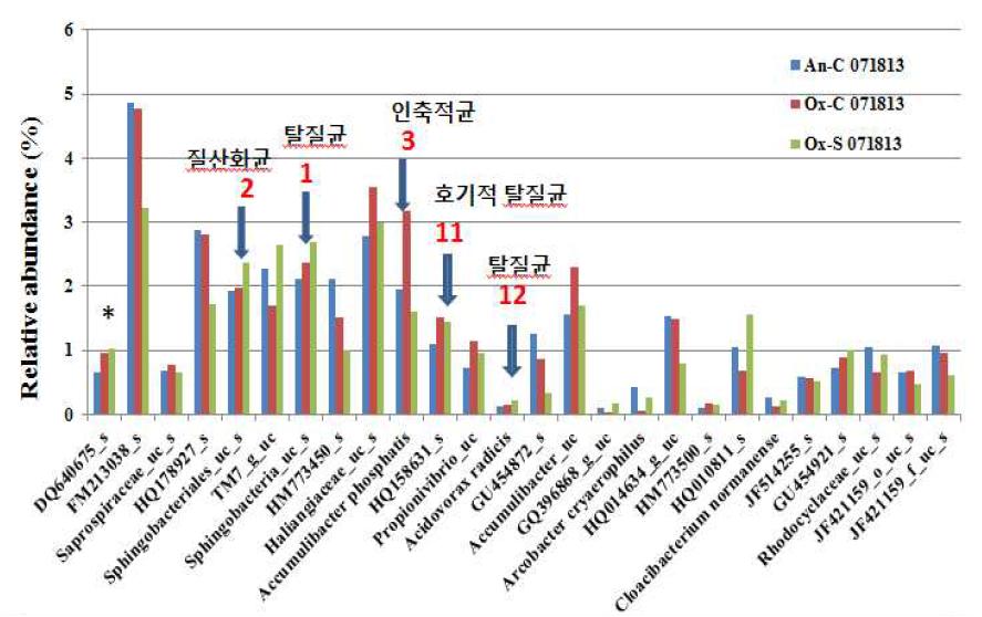 BM 처리 1개월 후 시료의 우점종 분포 및 잠재적 기능