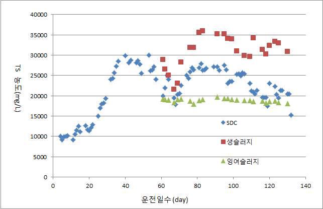 A 하수처리장 SDC 반응조 내의 TS 농도 변화