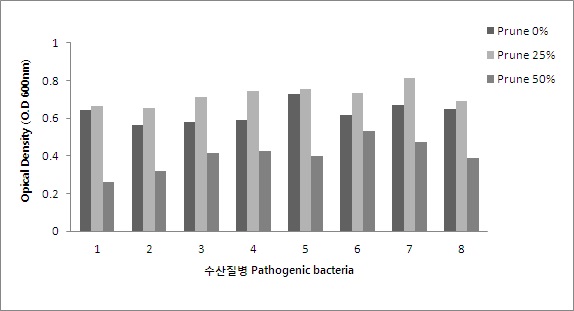 흡광도 600nm에서의 O.D 값에 따른 가압가열추출 잔사의 항균 효능.