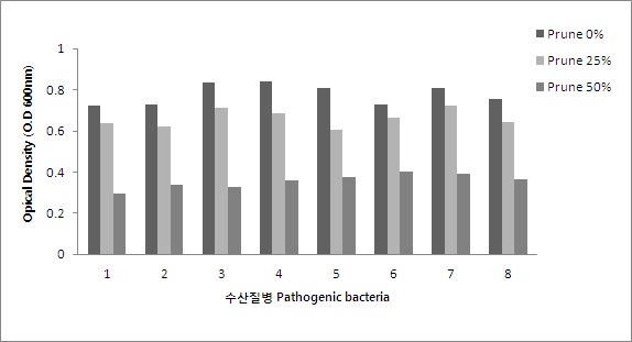 흡광도 600nm에서의 O.D 값에 따른 효소가열추출액의 항균 효능.