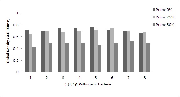 흡광도 600nm에서의 O.D 값에 따른 Pectinex+Saczymec 첨가 추출 잔사의 항균 효능.