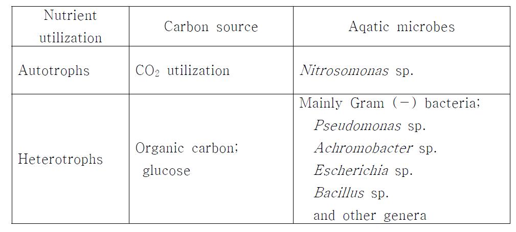 Ammonium oxidizing bacteria (AOB)