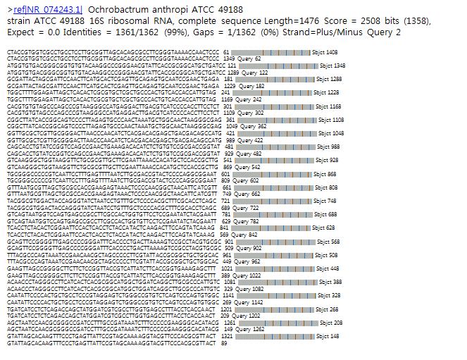 Analysis of 16S rRNA of Isolate AOBP9201321.