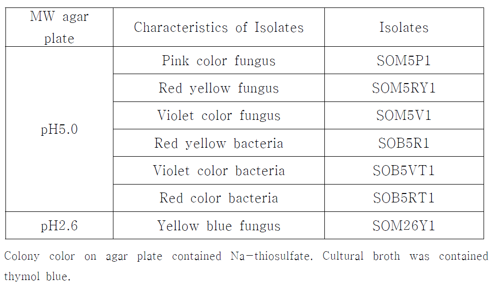 Selection of SOB strain on MW agar plate