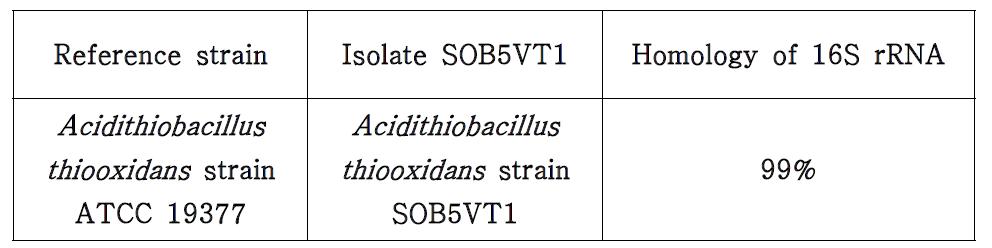 Homology of Isolate SOB5VT1