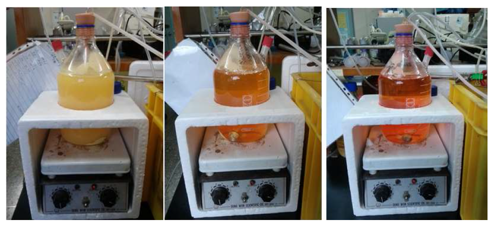 Phenomena of pH change during aerobic culture of the strain SOB5VT1.